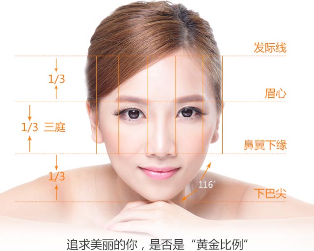 美女脸部黄金比例